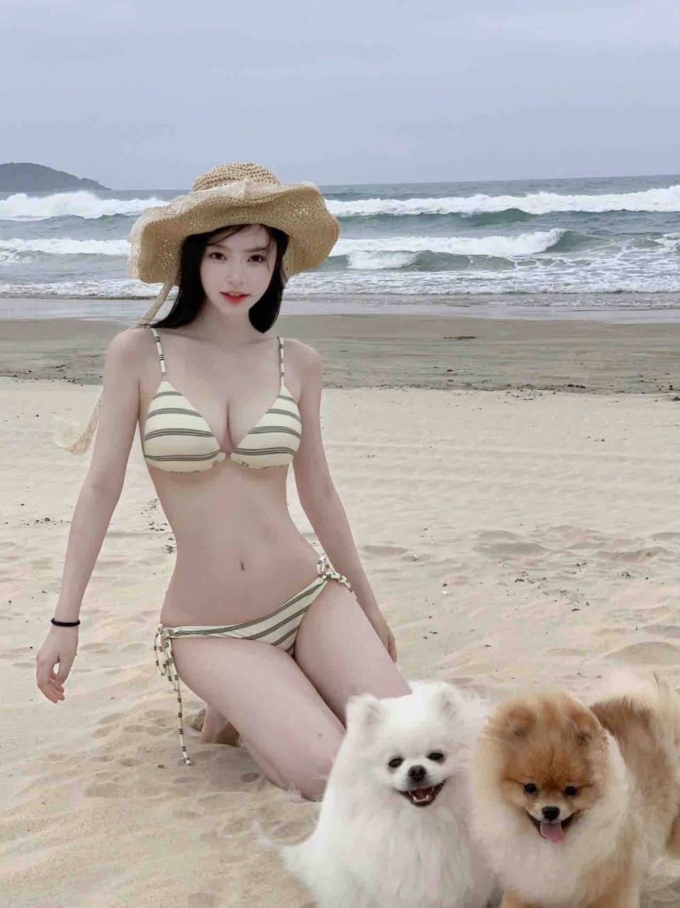 海外网址域名入口